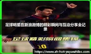 安达卢西亚西班牙马以战马天赋闻名欧洲数世纪