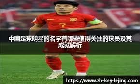 羽毛球男单决赛：李诗沣2-1安赛龙